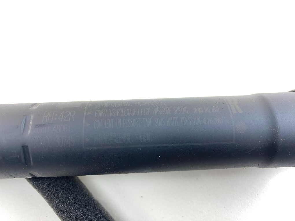6892048061 6891048081 Bootlid / tailgate strut set LEXUS RX IV (AL20) (2015-2022)
