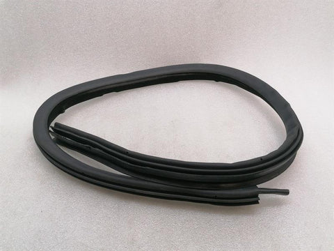 ASTON MARTIN RAPID S Door Seal ED43-F20708-FA Door Seals