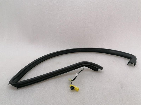 ASTON MARTIN RAPID S Door Seal AD43-F20709-B Door Seals LH