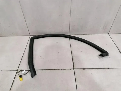 Aston Martin Rapide 10-14 Door Seal ED43-F20709-FA REAR HEATED Door Seals