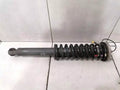 ASTON MARTIN RAPID S Shock Absorber Front FD43-18B036-AA Shock Absorber Front EDC