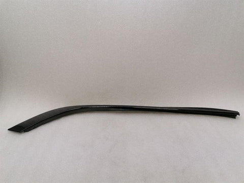 Aston Martin Rapid AMR RLH Door Moulding AD43-F20569-A Strip Rear Left Door