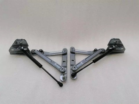 Ferrari 550 Maranello F133 boat hinge 63143100 tailgate hinge