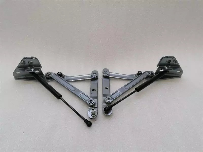 Ferrari 550 Maranello F133 boat hinge 63143100 tailgate hinge