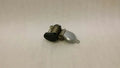 Mercedes SL R230 RRH seat belt A2308600486 seat belt belt rear RE