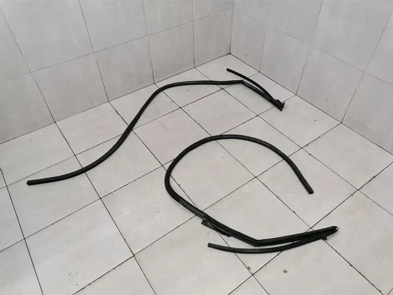 Audi R8 Type 42 V10 5.2 Spyder door seal set 427831707 door seals set