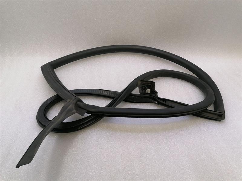 Lamborghini Huracan LP 610-4 COUPE Door Seal 4T8831708D RIGHT Door Seals