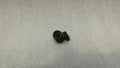 Audi S5 8T parking sensor 420919275 parking aid parking sensor PDC PTS