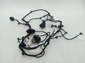 Ferrari Purosangue F175 Wiring Loom 845641 FL DOOR Wiring Harness