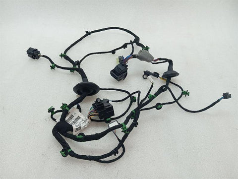 Ferrari Purosangue F175 Wiring Loom 845641 FL DOOR Wiring Harness