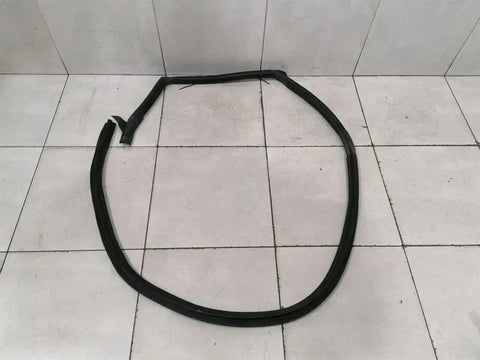 Ferrari Purosangue F175 door seal 880254 door seals RH rear door rear door