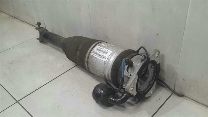 Bentley Continental GT W12 shock absorber rear 3W0616002E shock absorber rear RE