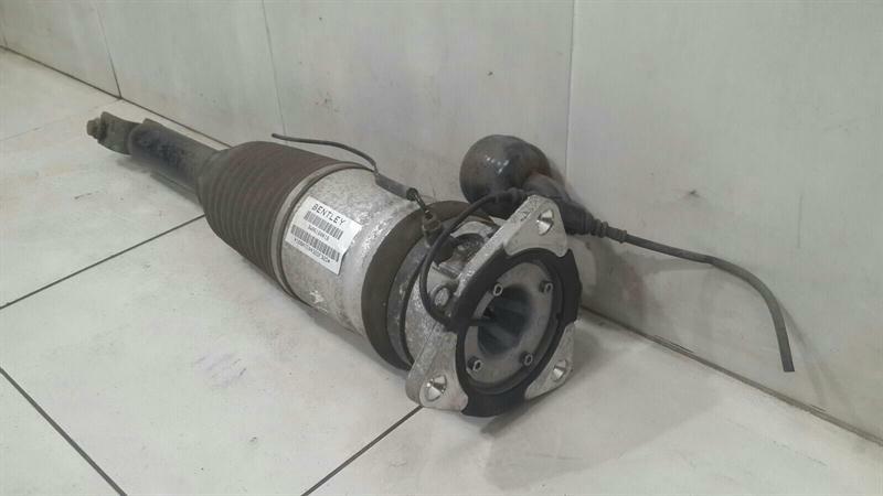Bentley Continental GT W12 shock absorber rear 3W0616001E shock absorber rear Li
