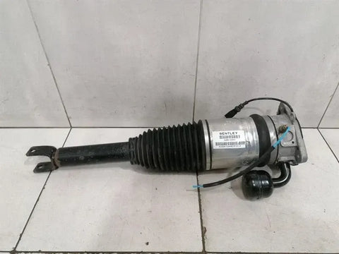 Bentley Continental GT W12 shock absorber rear 3W8616002 shock absorber rear