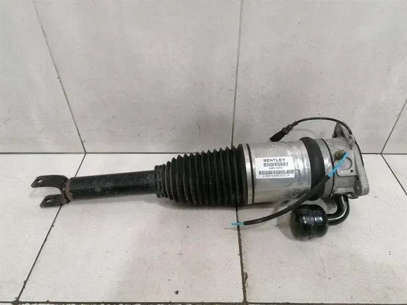 Bentley Continental GT W12 shock absorber rear 3W8616002 shock absorber rear