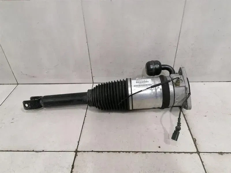 Bentley Continental GT W12 shock absorber rear 3W8616001 shock absorber rear