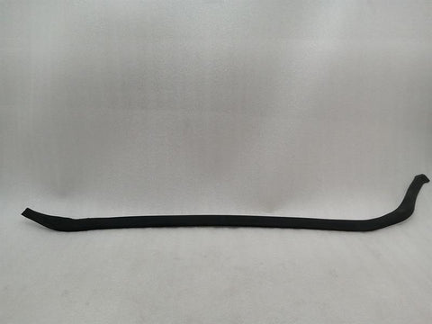 Tesla Model S 70 RLH Door Seal 6009587-00-D Door Seals Rear Left