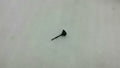 Mercedes E Class W212 Temperature Sensor A2218300872 Temperature Sensor