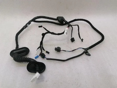 Tesla Model 3 Standard Range RLH Door Wiring 2067965-00-B Rear L Door Harness