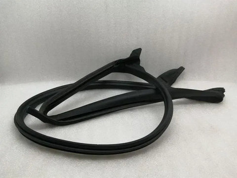 Tesla Model 3 Rear Right Door Seal 1090510-00-N Rear Right Door Seals