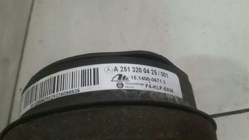 Mercedes R Class W251 Air Absorber Rear A2513200425 Shock Absorber Rear Right