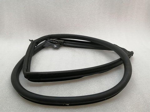 Tesla Model S 100D Door Seal 6009585-00-I Door Seals REAR LEFT