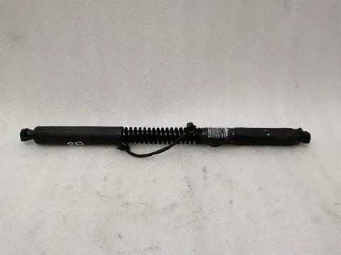 Tesla Model X 75D Rear Falcon Door Strut 1063441-00-C Strut Rear Door