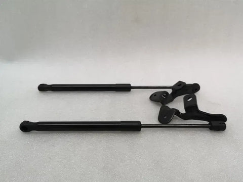 Tesla Model 3 Long Range Bonnet Strut set 1089586-00-C hood hinge set