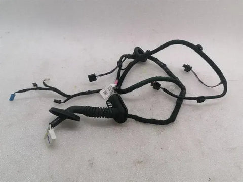 Tesla Model 3 Long Range RLH Door Wiring 2067965-00-B Rear L Door Harness