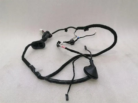 TESLA MODEL 3 STANDARD RANGE RR DOOR Wiring Loom 2067966-00-A Wiring Harness HR TUR