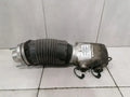 Bentley Continental GT Shock Absorber Front 975616037E Front Shock Absorber