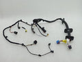 Porsche Cayman 718 GT4RS Wiring Loom 9P4971688AJ LEFT DOOR Wiring Harness