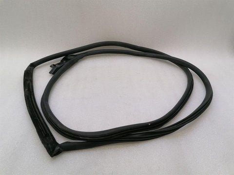 Aston Martin Vantage V8 Door Seal 6G33-C20709-AH LEFT LEFT Door Seals