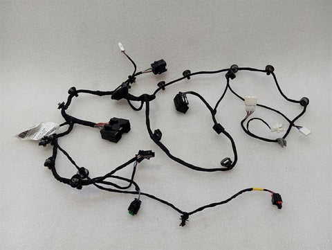 Ferrari 296 GTB 296GTB F171 Wiring Loom 846151 Wiring Harness LEFT RHD DOOR
