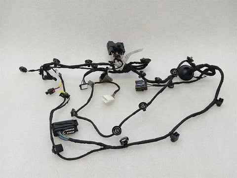 FERRARI 296 GTB 296GTB F171 WIRING LOOM 846148 WIRING HARNESS DOOR RH RHD