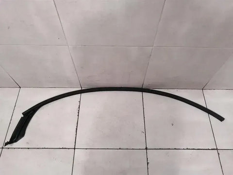 Tesla Model X P100D FLH Door Seal 1032147-00-C Door Seals Front Left