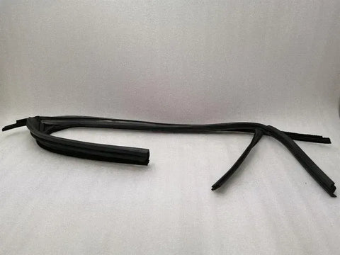 Tesla Model X P100D RRH Door Seal 1032277-00-D Door Seals Rear Right