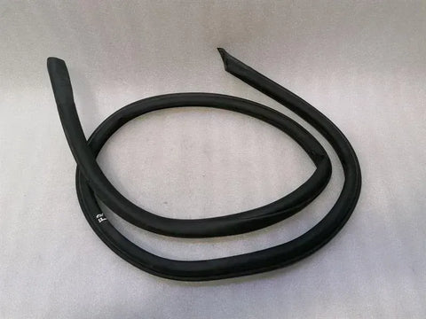 BMW i8 Hybrid Door Seal 51767312986 RIGHT Door Seals RIGHT