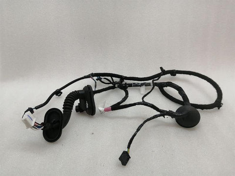 Tesla Model 3 Long Range RLH Door Wiring 2067965-00-B Rear L Door Harness
