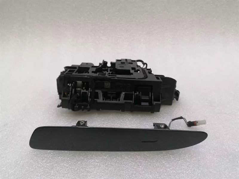 Porsche Taycan 9J door handle 9J1839885A RL HL door handle