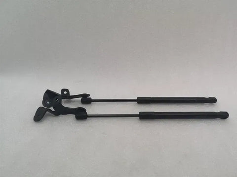 Tesla Model 3 Standard Range Bonnet Hinge set1089587-00-C Hood Hinge set