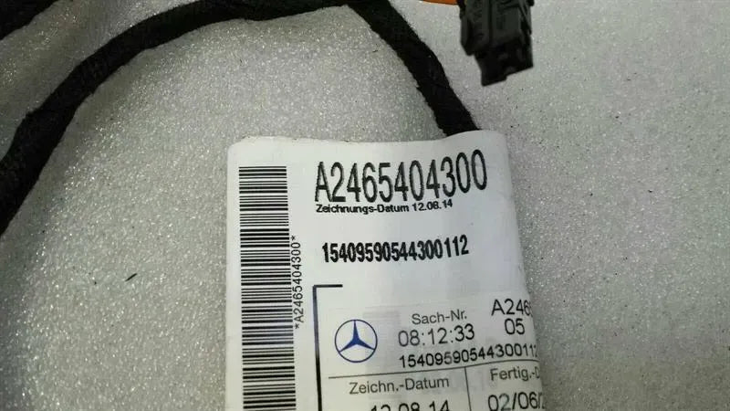Mercedes A Class W176 Rear Right Door Wiring A2465404300 Door Harness Rear RE