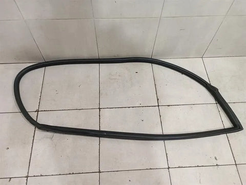 Ferrari 599 GTB F141 Door Seal 68579100 RH Right Door Seals-