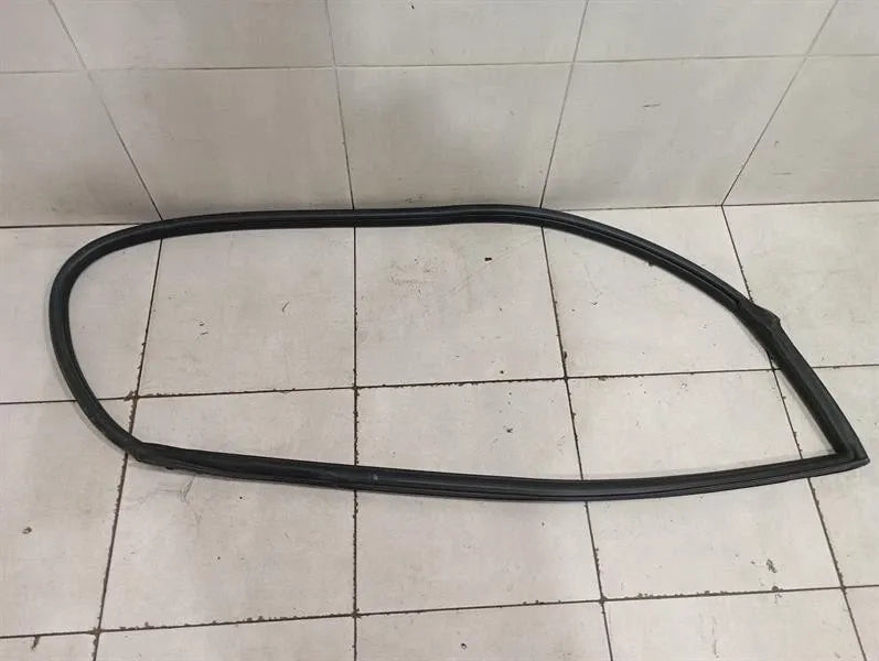 Ferrari 599 GTB F141 Door Seal 68579100 RH Right Door Seals-