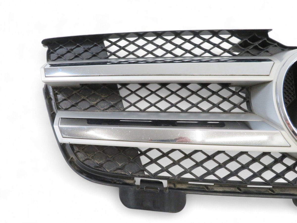 A1648802785 A2518880086 Radiator Grille MERCEDES-BENZ GL-CLASS (X164) (2006-2012)