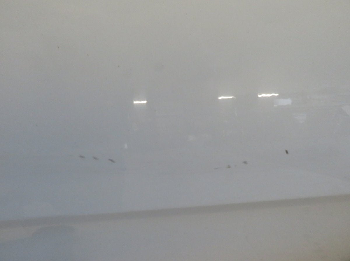 A2517301205 Door Rear Right MERCEDES-BENZ R-CLASS (W251) (2006-2013)