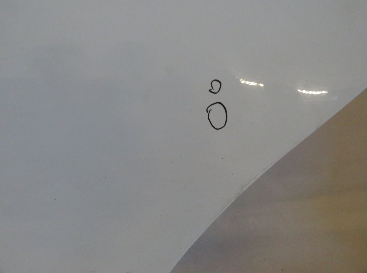 A2517301105 Door Rear Left MERCEDES-BENZ R-CLASS (W251) (2006-2013)