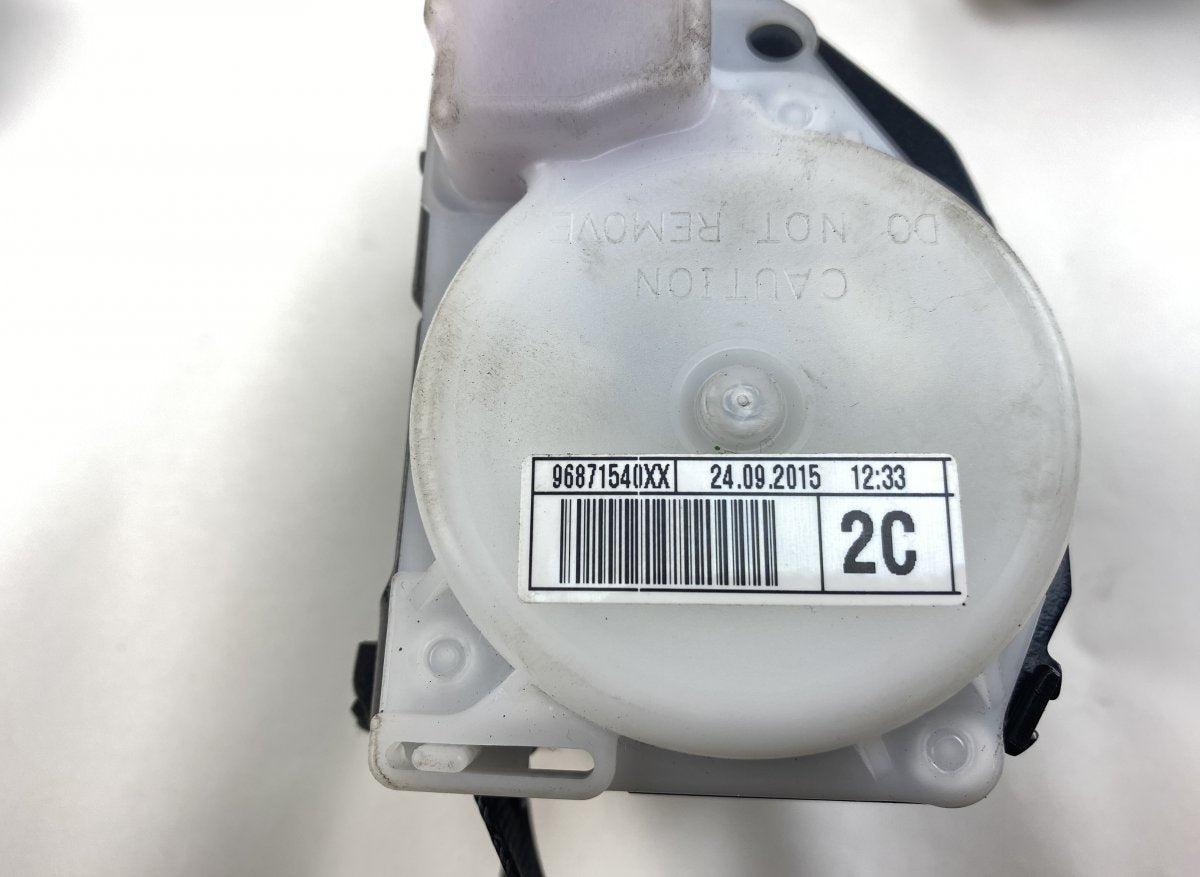 8976C2 8976C3 Seat Belt Set DS DS 4 / DS 4 CROSSBACK (07.15-)