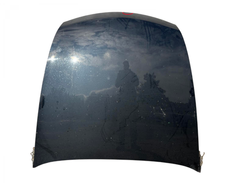5330150080 Bonnet LEXUS LS (_F4_) (04.06-)