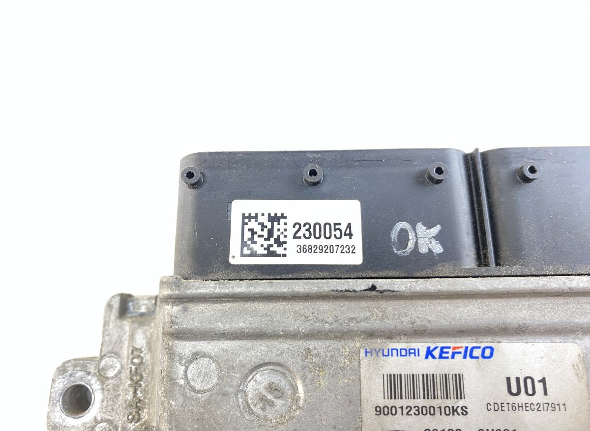 391002U201 Engine Control Unit / module (ECU) KIA CEED III (CD) (2018-)